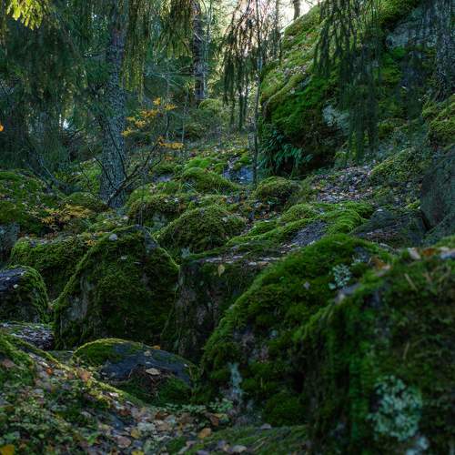 Photo #11252121