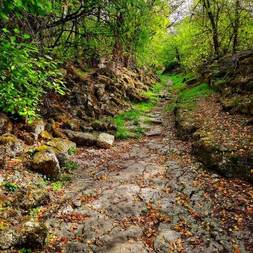 Photo #11252125