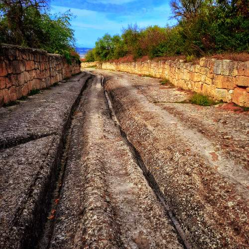 Photo #11252134