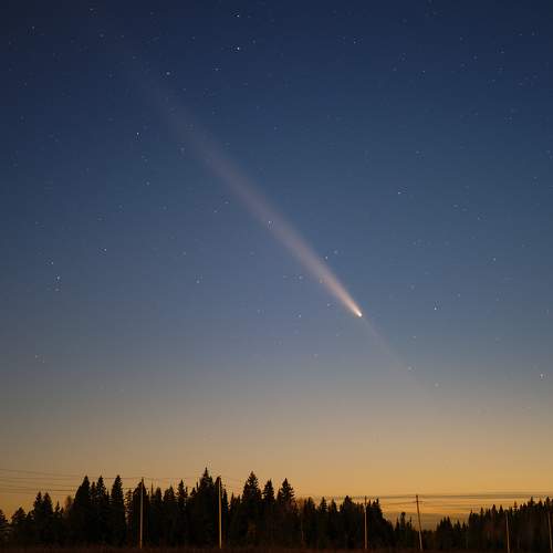 Photo #11252297