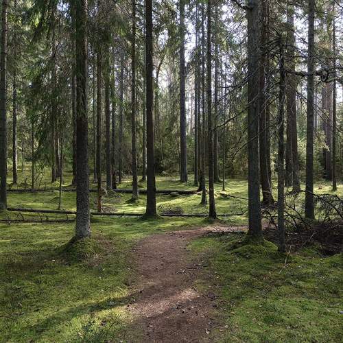 Photo #11252435