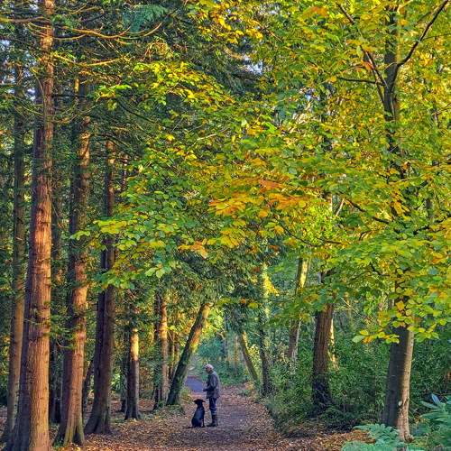 Photo #11252636