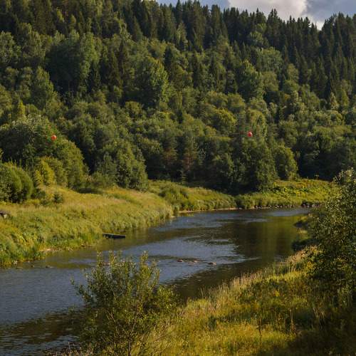 Photo #11252890