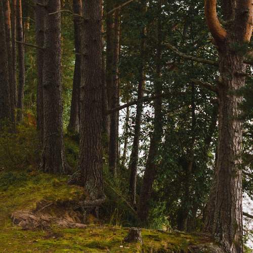 Photo #11252923