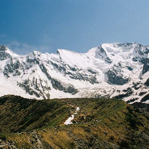 Photo #11253035