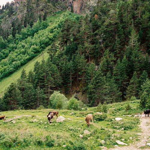 Photo #11253038