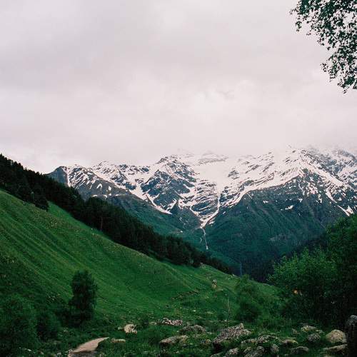 Photo #11253044