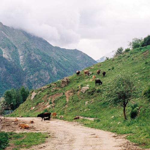 Photo #11253045