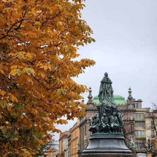 Photo #11253166