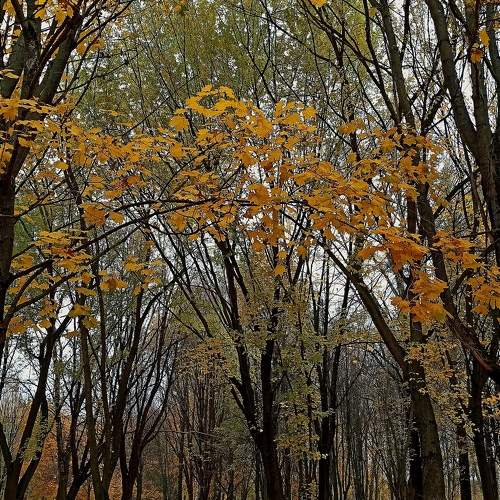 Photo #11253538