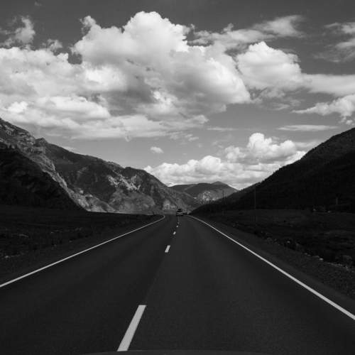 Photo #11253635