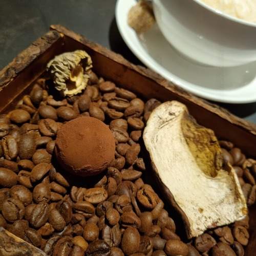 Photo #11253908