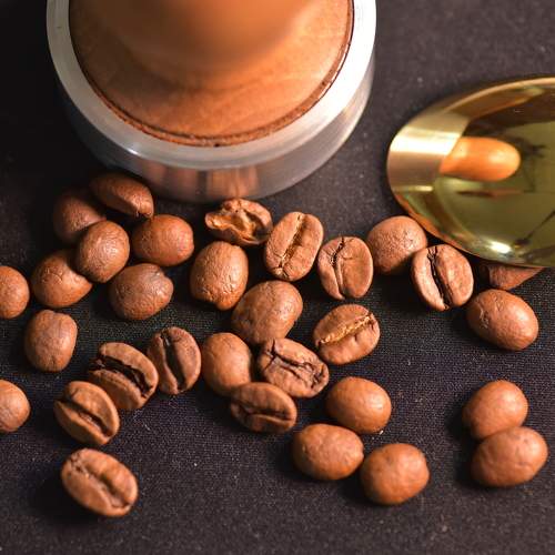 Photo #11254065