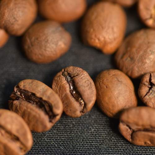 Photo #11254076