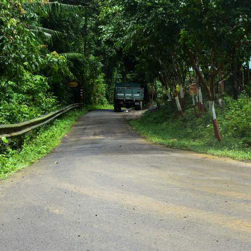 Photo #11254204