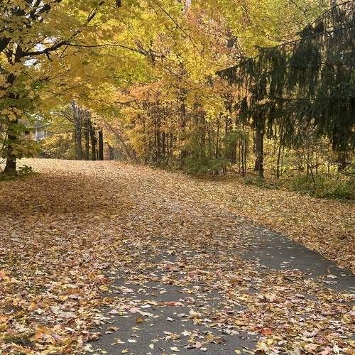 Photo #11254289