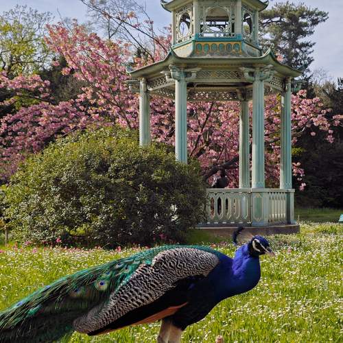 Photo #11254320