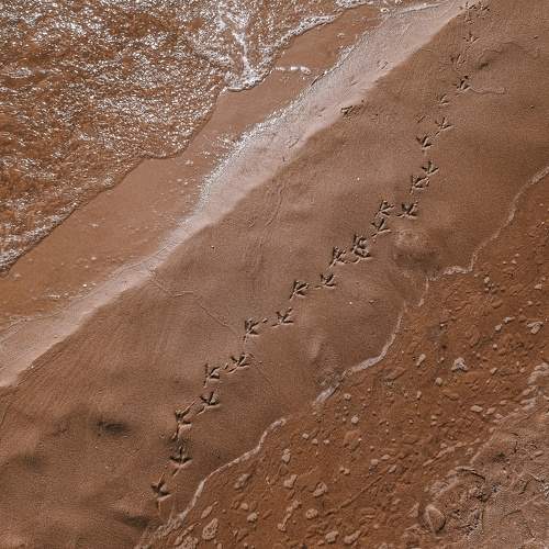 Photo #11254381