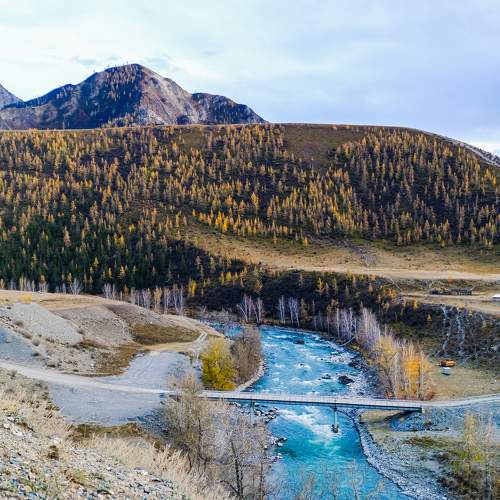 Photo #11254488