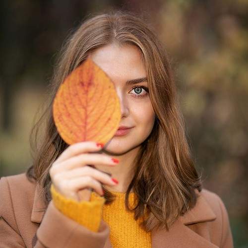 Photo #11254571