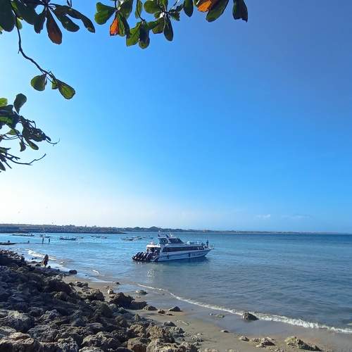 Photo #11254578
