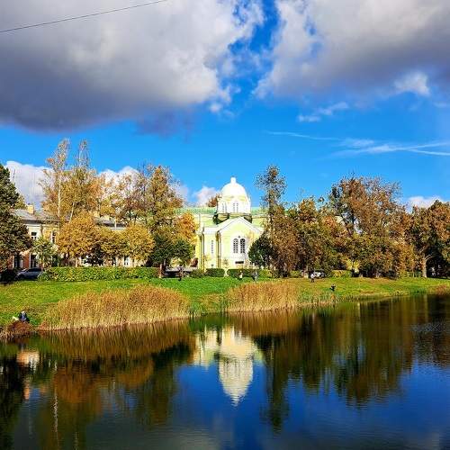 Photo #11254588