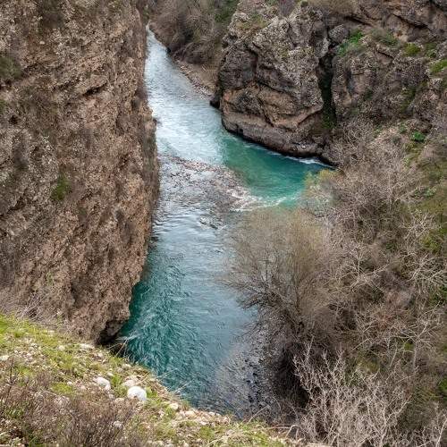 Photo #11254633