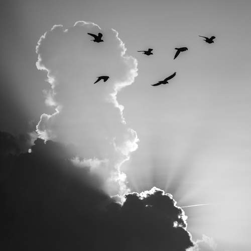 Фотография #11255075