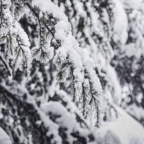 Photo #11255352