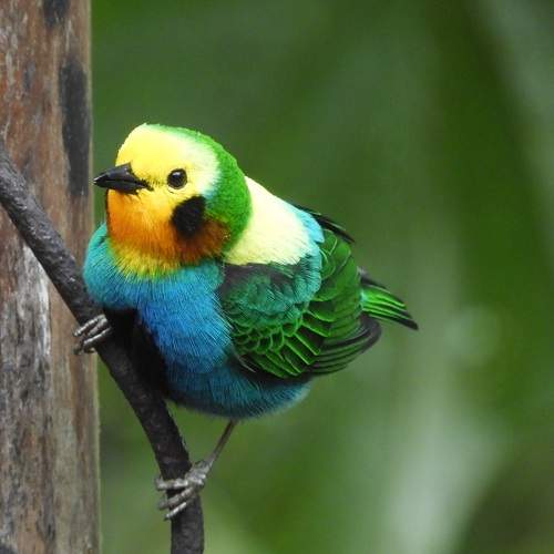 Photo #11255411
