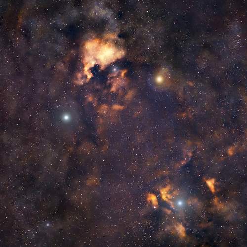Photo #11255516