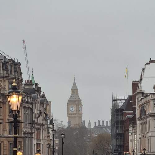 Photo #11255600