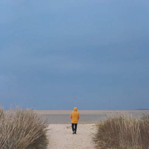 Photo #11255878