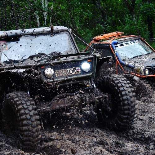Photo #11255892