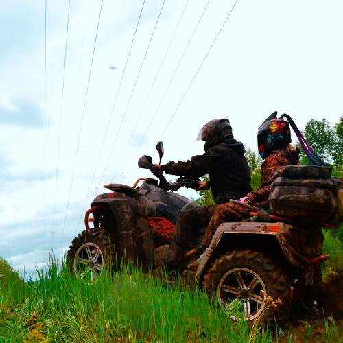 Photo #11255956