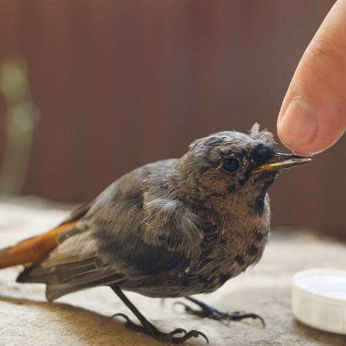 Photo #11256353