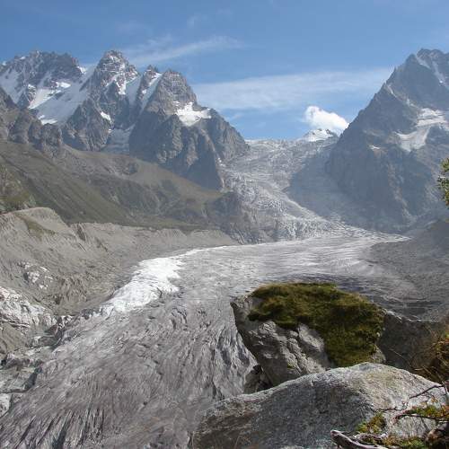 Photo #11256481