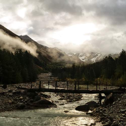 Photo #11256537