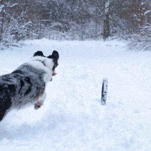 Photo #11256562