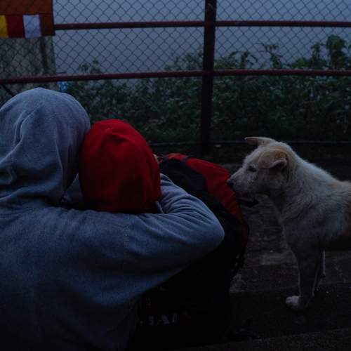 Photo #11256669
