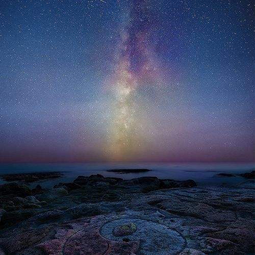 Photo #11256796