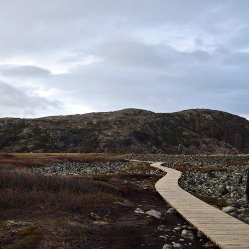 Photo #11257467