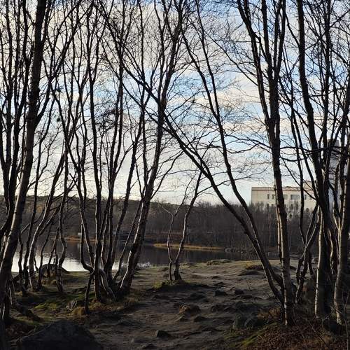 Photo #11257492