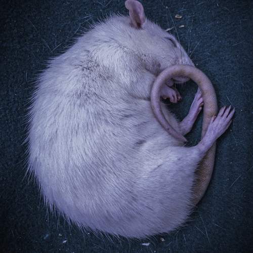 Photo #11257810