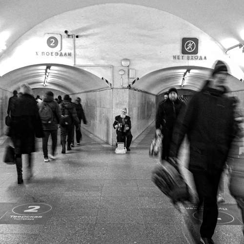 Photo #11257941