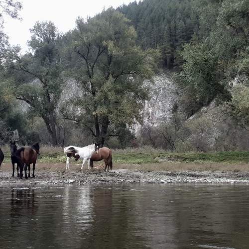 Photo #11257984