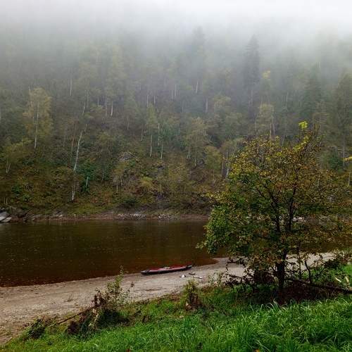 Photo #11257998