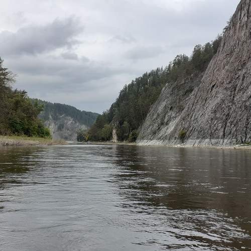 Photo #11258005