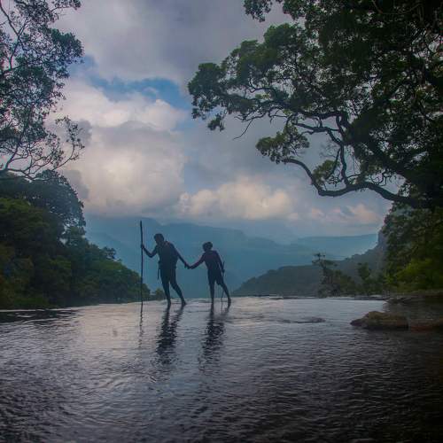 Photo #11258075