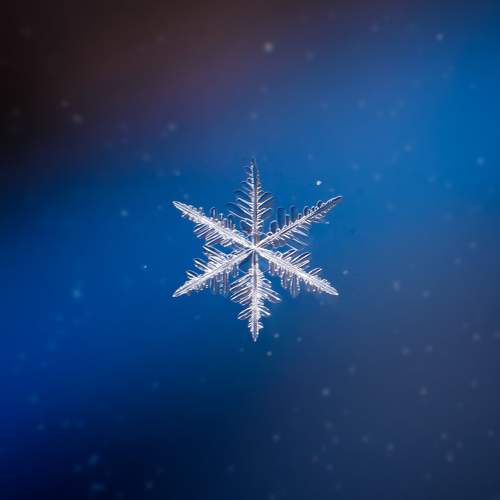 Фотография #11258424